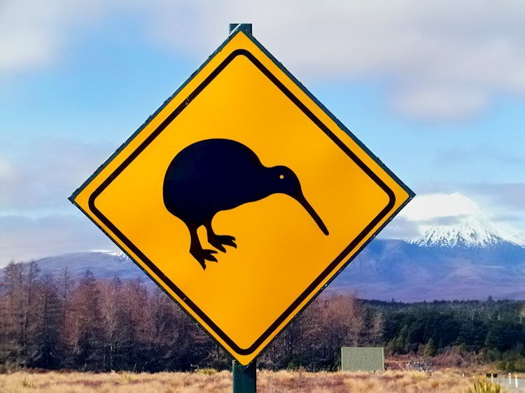 新西兰财政部：飓风后展??的重建活动可能导致纽储行在更长时间内维持较高利率